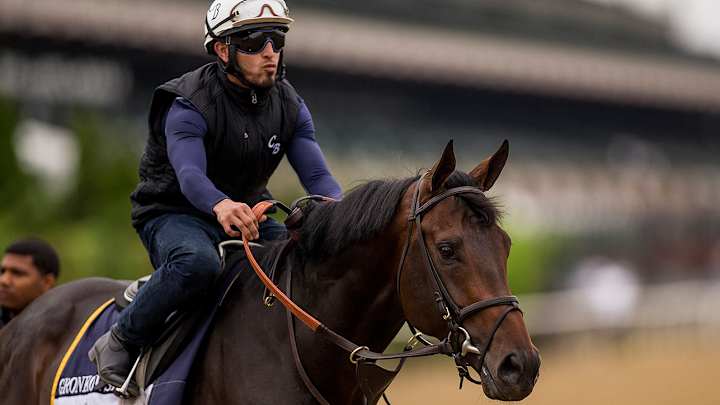 Gronkowski Finished Second at Belmont Stakes and Twitter Couldn't Stop Cracking Jokes
