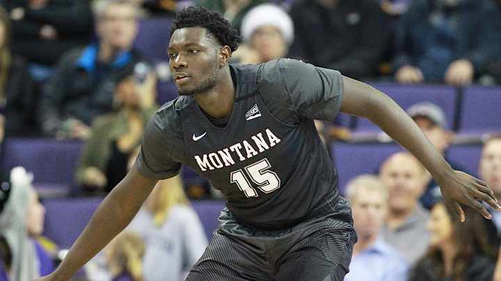 College Basketball Best Bets: Hammer Montana at Arizona