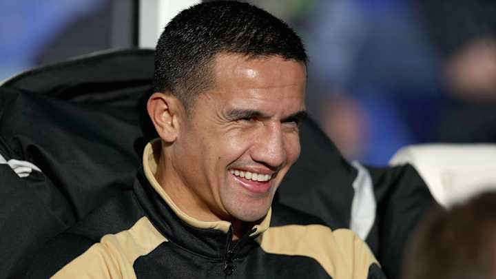 Tim Cahill Insists Roy Hodgson Was Right to Leave Out Troubled Palace Star Against Brighton