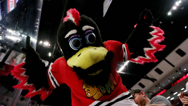 Blackhawks' Mascot Punches, Body Slams Alleged Attacker Blackhawks' Mascot Punches, Body Slams Alleged Attacker