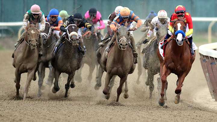 Vino Rosso's Owner Calls For Investigation Into Tactics Used To Win Belmont
