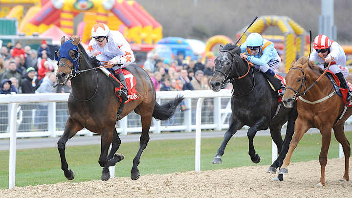 The Odds Aren’t In His Favor, but Rob Gronkowski Is All in on Gronkowski the Horse