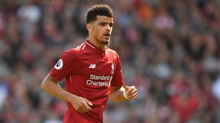 Crystal Palace Eye January Loan Move for Liverpool Youngster Dominic Solanke