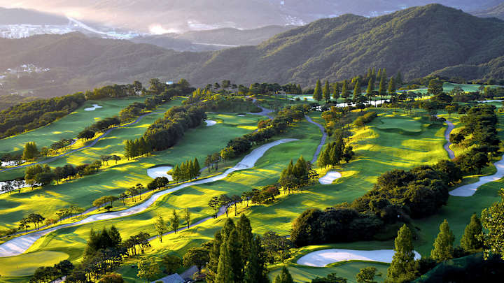 Golf Artist Prisoner Released 27 Years After Wrongful Conviction