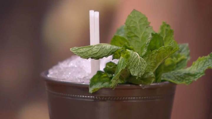 What Ingredients Are In A Mint Julep?
