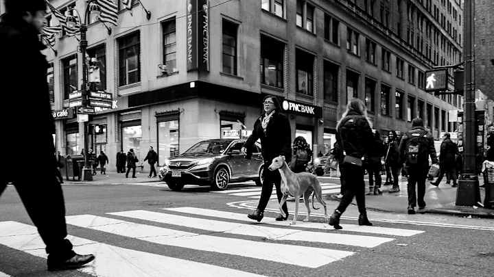 Glitter Grace O’Malley competes at the 2018 Westminster Kennel Club Dog Show