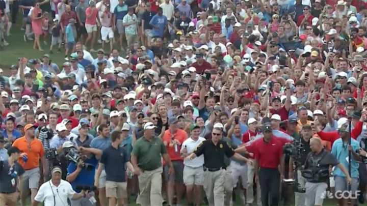 Watch: Crowd Creates Incredible Moment for Tiger Woods at Tour Championship's 18th Hole