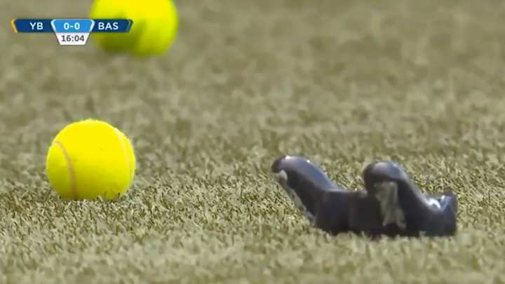 Match Paused as Swiss Fans Throw Tennis Balls, PS4 Controllers to Protest ESports