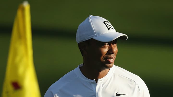 There Is Only One Tiger Woods