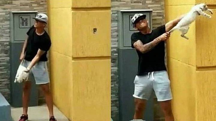 SE LO MERECEN | Dos futbolistas despedidos por maltratar a un gato