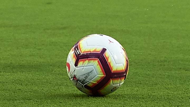 La sorprendente normativa en LaLiga respecto a las mascotas La sorprendente normativa en LaLiga respecto a las mascotas