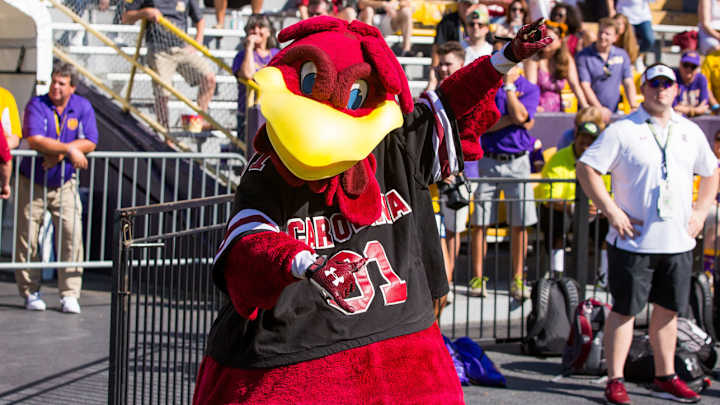 Local Businessman Mistakenly Prints USC Schedule for Gamecock Fans