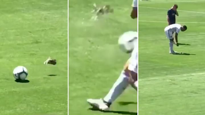 Matteo Darmian Randy Johnson’d Some Poor Bird