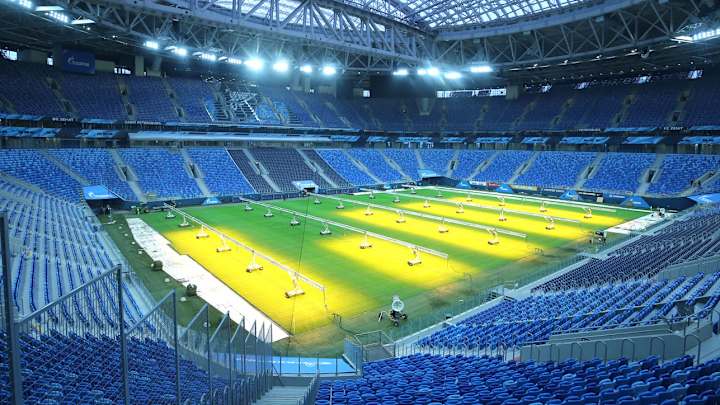 Russian Government Warns of Locusts Destroying World Cup Fields Russian Government Warns of Locusts Destroying World Cup Fields