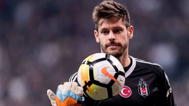 Fulham Eye €4.5m Move for Besiktas Stopper as Jokanovic Remains Keen on Adding Depth