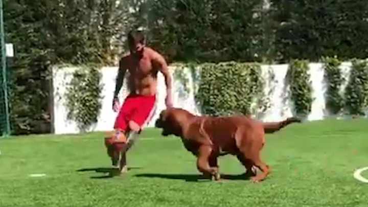 LO VOLVIÓ LOCO | Messi entrenó con su perro Hulk en el patio de su casa
