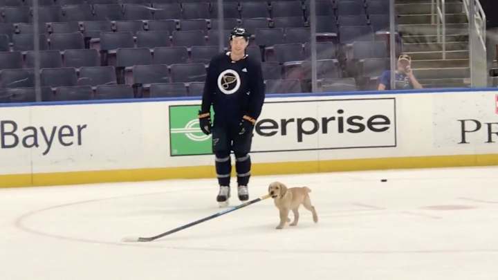 Friday’s Hot Clicks: Team Puppy Barclay Joins the Fun at Blues Practice Friday’s Hot Clicks: Team Puppy Barclay Joins the Fun at Blues Practice