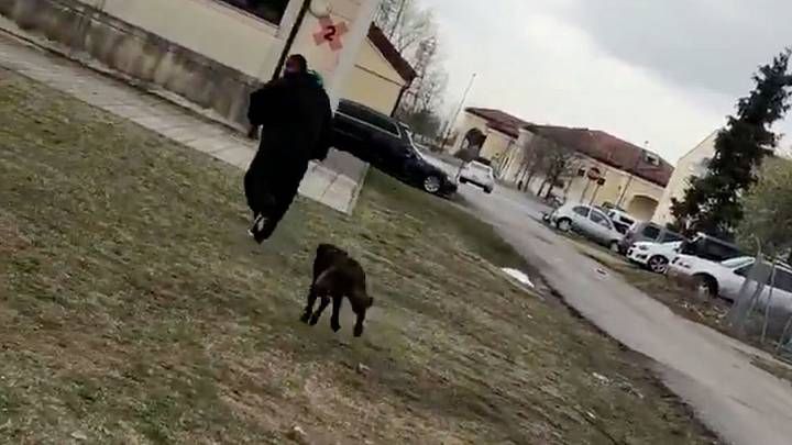 Watch: Mark Ingram Gets Completely Wrecked and Tossed to the Ground By Security Dog In Italy