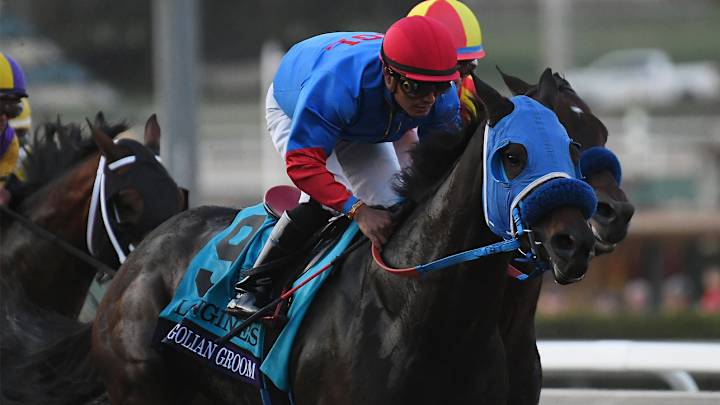 Mongolian Groom Racehorse Dies at Santa Anita Park, Raising Death Toll to 37 Since December Mongolian Groom Racehorse Dies at Santa Anita Park, Raising Death Toll to 37 Since December