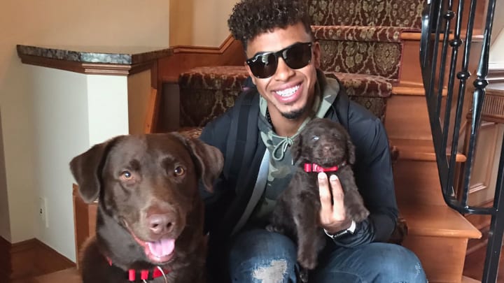 Here's an idea for a new Indians logo: Francisco Lindor's very good dogs Here's an idea for a new Indians logo: Francisco Lindor's very good dogs