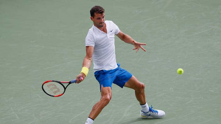 Grigor Dimitrov Rallies Past Juan Martin del Potro in Ohio