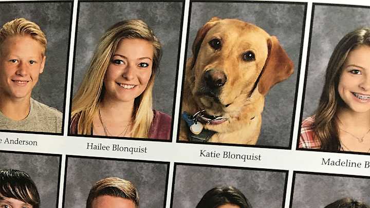 Life-saving Utah dog is rewarded with a spot in her owner's high school yearbook