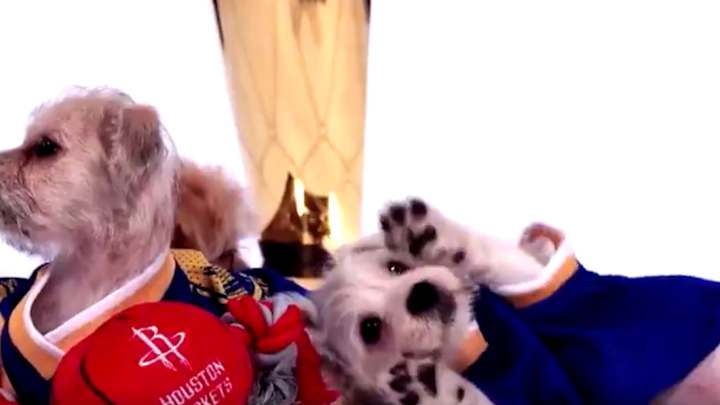 Watch: Warriors Use Rescue Puppies to Announce Opening Week, Christmas Day Games Watch: Warriors Use Rescue Puppies to Announce Opening Week, Christmas Day Games