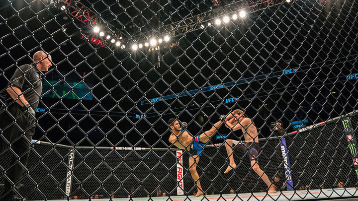 UFC 208: Holm vs. de Randamie