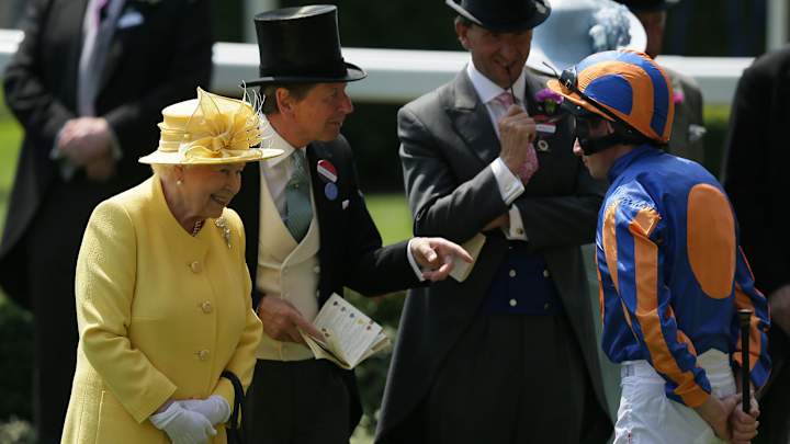Globetrotting horse Highland Reel wins at Royal Ascot