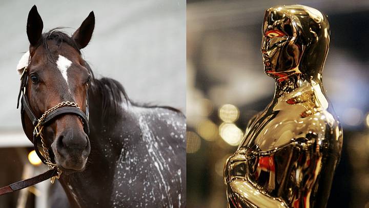Quiz: 2017 Kentucky Derby horse or Oscar-nominated foreign film? Quiz: 2017 Kentucky Derby horse or Oscar-nominated foreign film?