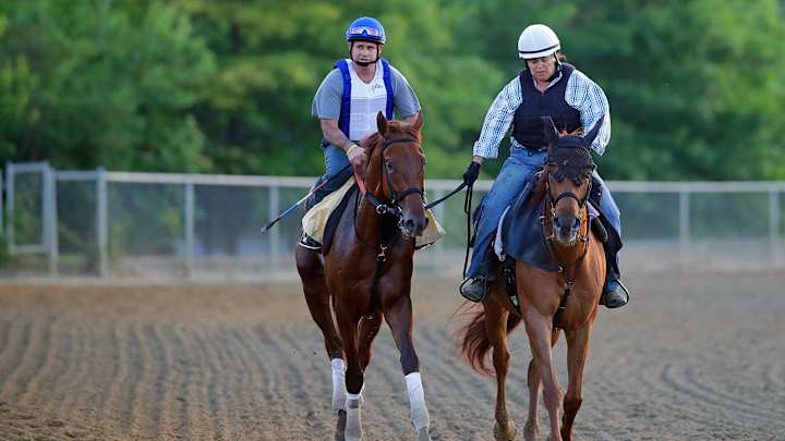 Preakness Stakes latest odds: favorite, betting lines Preakness Stakes latest odds: favorite, betting lines