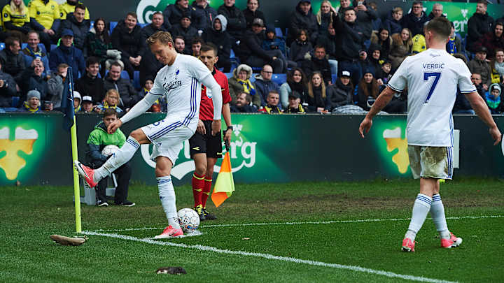 Video: Danish soccer fans shower opposing players with dead rats Video: Danish soccer fans shower opposing players with dead rats
