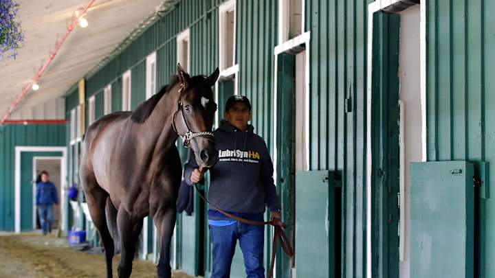 New horses among Preakness challenges facing Always Dreaming