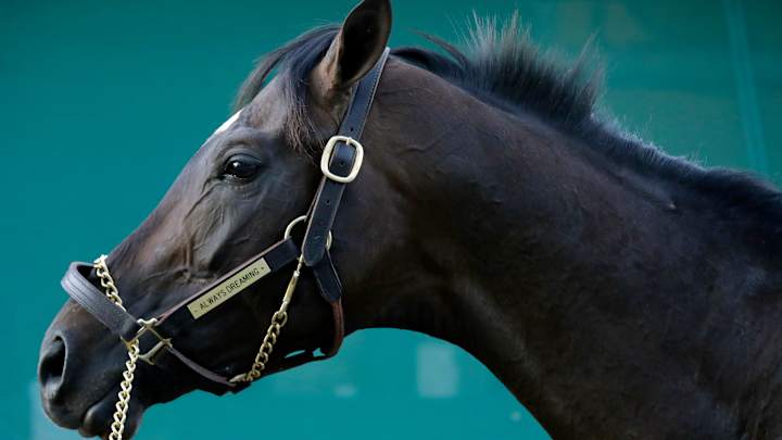 Kentucky Derby winner Always Dreaming gets rambunctious