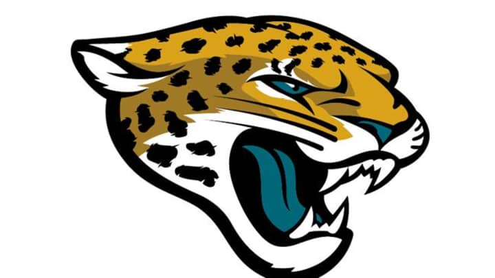 No. 2 Jacksonville Jaguars