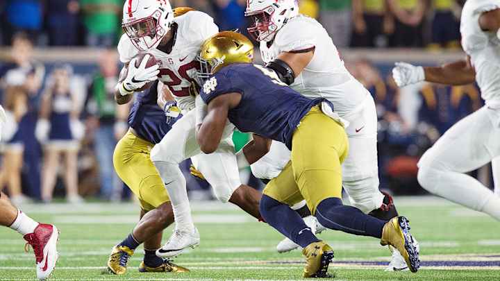 Daelin Hayes, Notre Dame DE