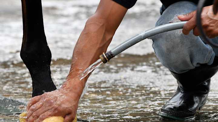 Immigrant workers at Churchill Downs fear deportation