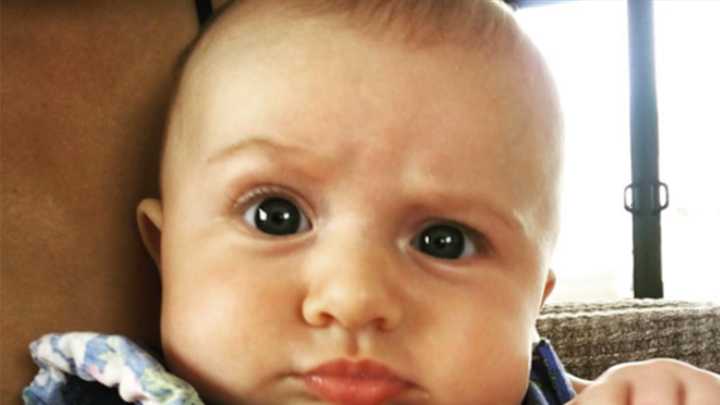 Daniel Bryan And Brie Bella's Daughter Delights The Rock With People's Eyebrow