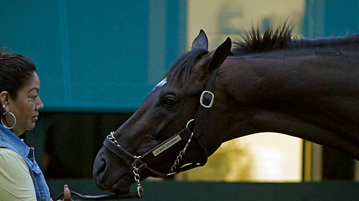 The Latest: Infield party in full swing ahead of Preakness