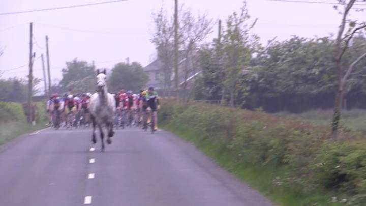 Video: Horse comes out of nowhere and nearly causes disaster in Irish cycling race Video: Horse comes out of nowhere and nearly causes disaster in Irish cycling race