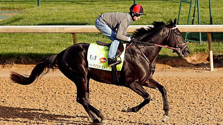 2017 Kentucky Derby field: Favorites and contenders