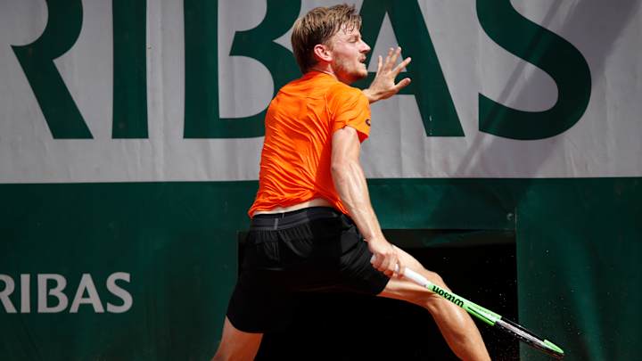 Goffin says he won't play Wimbledon due to ankle injury