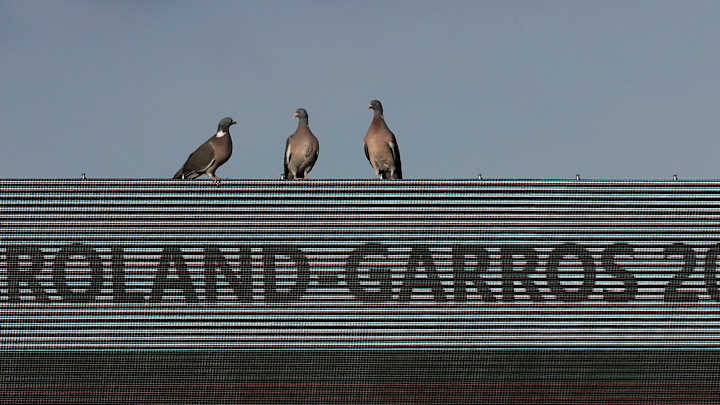 Venus Williams opens play at French Open on Day 4