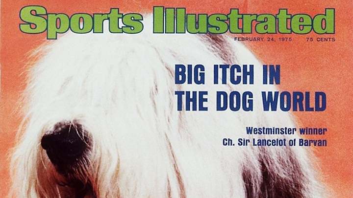 Flashback to the 1975 Westminster Dog Show