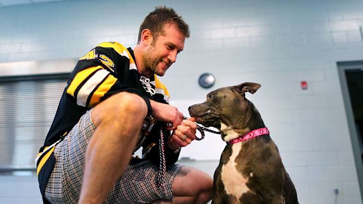 Gimme Shelter:  Athletes advocate for rescue pets