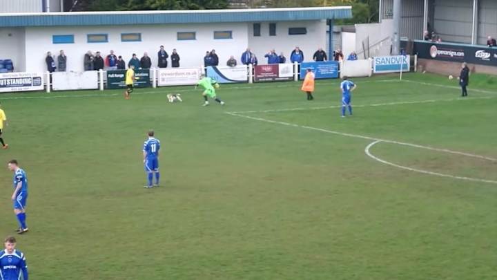 Video: Very good dog interrupts soccer game and evades capture for seven minutes Video: Very good dog interrupts soccer game and evades capture for seven minutes