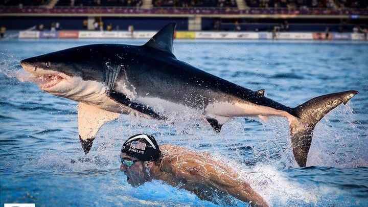 Trailer released for Michael Phelps vs. Shark: Battle for Ocean Supremacy Trailer released for Michael Phelps vs. Shark: Battle for Ocean Supremacy