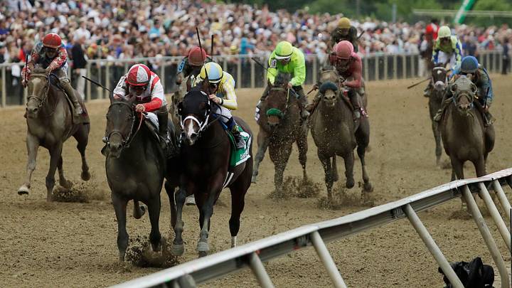 13-1 shot Cloud Computing springs upset in Preakness