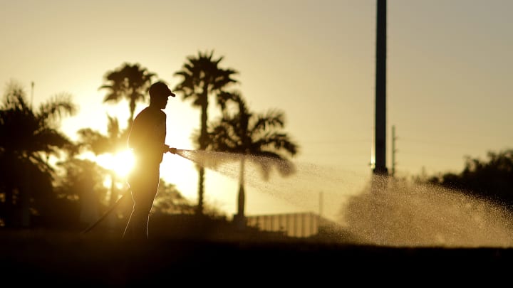 Scenes from 2017 spring training
