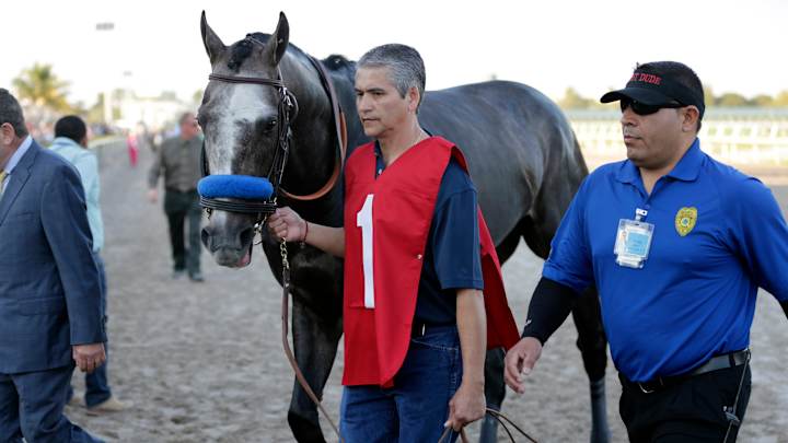 World's No. 1 horse Arrogate returns to racing at Del Mar
